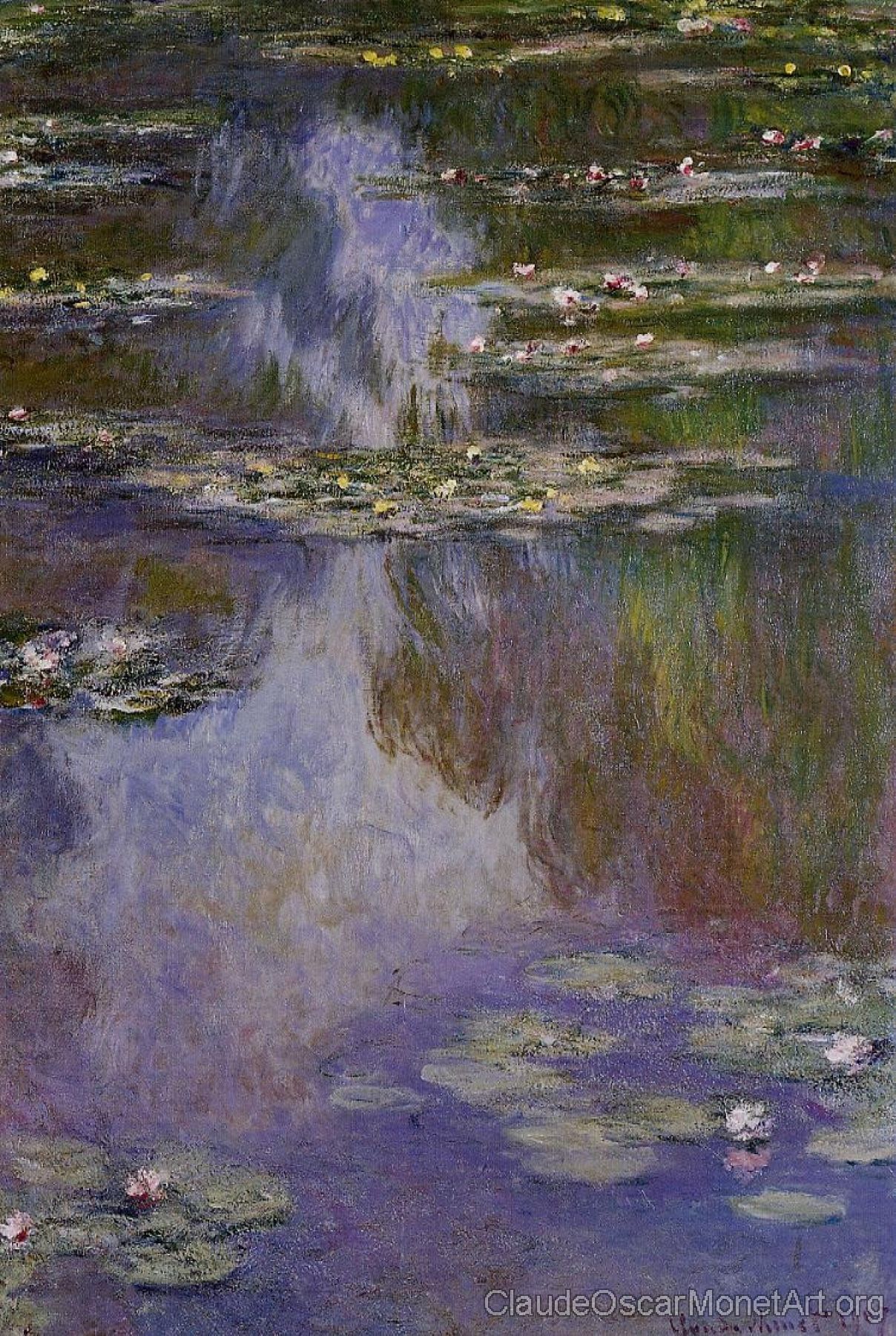 Water Lilies VII